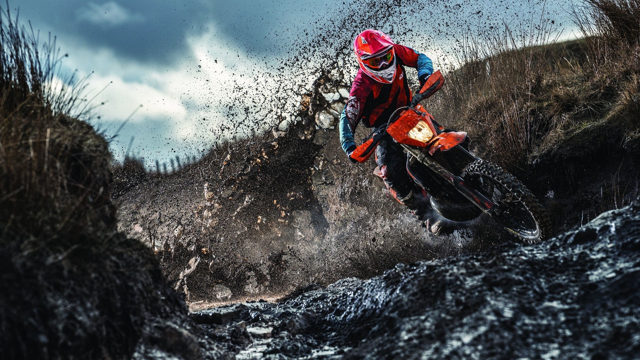 扫地出门!曼联1.1亿豪购引爆更衣室,球迷怒喷:这2人早该滚蛋!