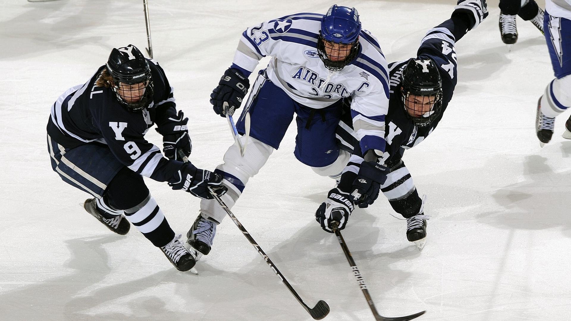 辽宁飞豹展现强大团队凝聚力冲击总冠军,辽宁飞豹是什么企业